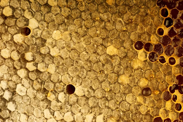 밀봉된 텍스처의 — 스톡 사진