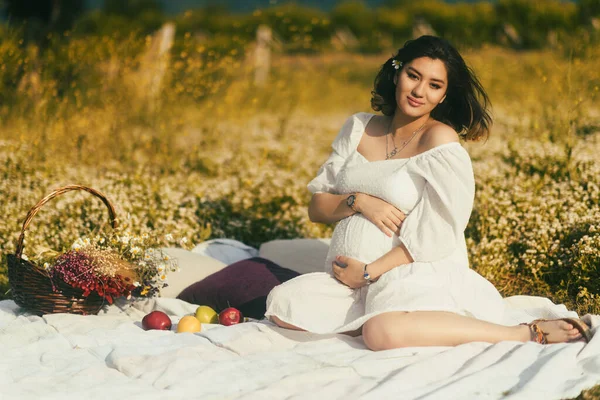 White Picnic Blanket Amidst Daisies Pregnant Woman Sits Array Items — Stock Photo, Image