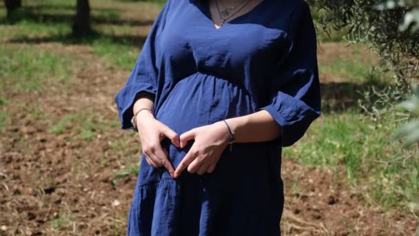 Einem Olivenhain Formt Eine Schwangere Frau Einem Blauen Kleid Liebevoll — Stockvideo