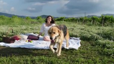 Beyaz elbiseli ve şapkalı hamile bir kadın piknik battaniyesine oturmuş yanında bir sepet kurumuş çiçek ve elmayla sadık Golden Retriever 'ıyla günün tadını çıkarıyor..