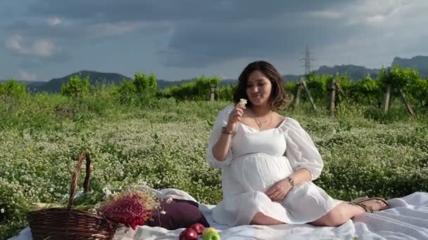 在雏菊中的白色野餐毛毯上 一个孕妇坐在那里 身边有各种各样的东西 包括苹果 枕头和装满干花的柳条筐 — 图库视频影像
