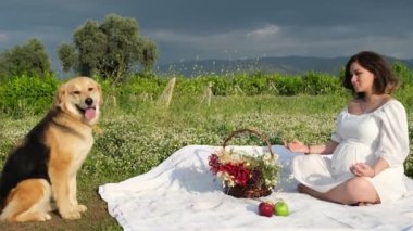 Beyaz giysili hamile kadın piknik battaniyesinde meditasyon yapıyor. Yanında da Golden Retriever 'ı ve bir sepet kurumuş çiçek ve elma var.