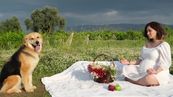 身穿白色衣服的孕妇坐在一张野餐毛毯 她的金色猎犬和旁边的一篮干花和苹果上沉思着 — 图库视频影像