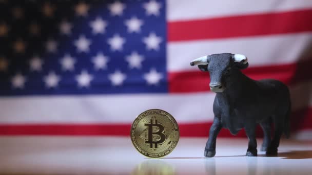 Fyysinen Bitcoin Kolikon Härkä Hahmo Sijoitettu Keskelle Rungon Kanssa Yhdysvaltain — kuvapankkivideo