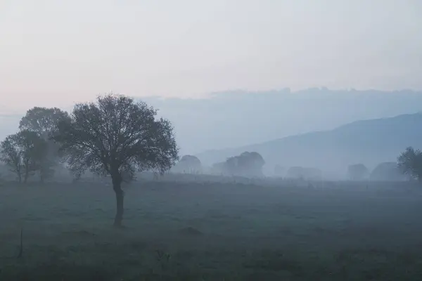 Early Morning View Farmland Engulfed Mysterious Blend Fog Cloud Creating — Stock Photo, Image