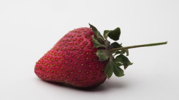 성숙한 신선도에서 곰팡이 상태로 딸기의 전환을 보여주는 매혹적인 클로즈업 타임랩스 — 비디오