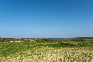 Çanakkale Savaşı 'ndan kalma tarihi bir top yeşil çimlerin üzerinde dinleniyor manzaralı tarlalar ve arka planda deniz manzaralı..