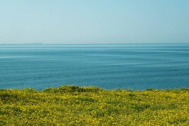 Mükemmel bölünmüş bir kompozisyon mavi gökyüzünü, mavi denizi ve sarı çiçekleri gözler önüne seriyor, çarpıcı bir üç renkli manzara yaratıyor.
