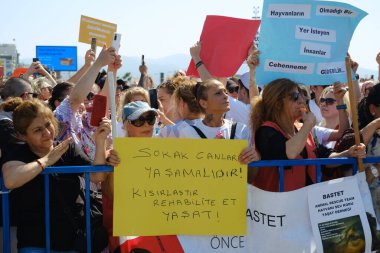 İzmir, Türkiye - 2 Haziran 2024: İzmir 'de protestocular, sahipsiz sokak köpeklerine 30 gün sonra ötenazi yapma amaçlı yasa tasarısına karşı çıktılar. Göstericiler Cumhuriyet Meydanı 'ndan Gundogdu Meydanı' na yürüdü