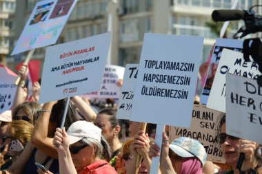 İzmir, Türkiye - 2 Haziran 2024: İzmir 'de protestocular, sahipsiz sokak köpeklerine 30 gün sonra ötenazi yapma amaçlı yasa tasarısına karşı çıktılar. Göstericiler Cumhuriyet Meydanı 'ndan Gundogdu Meydanı' na yürüdü