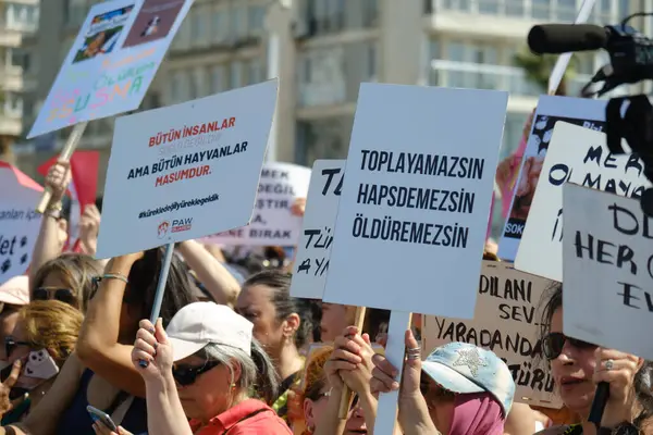 İzmir, Türkiye - 2 Haziran 2024: İzmir 'de protestocular, sahipsiz sokak köpeklerine 30 gün sonra ötenazi yapma amaçlı yasa tasarısına karşı çıktılar. Göstericiler Cumhuriyet Meydanı 'ndan Gundogdu Meydanı' na yürüdü