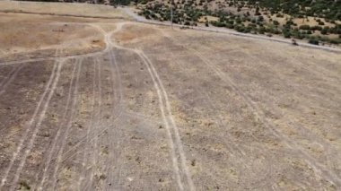 Uçan bir dron tarafından çekilen çarpıcı bir hava manzarası, tarlaların üzerinde uçan ve yemyeşil zeytin ağaçları, yuvarlanan tepelere karşı kurulmuş ve açık mavi gökyüzü