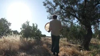 Bir Orta Doğulu adam zeytin koruluğunda yürüyor, elinde bir çerçeve varili tutuyor güneş ışığı ağaçların arasından süzülüyor, huzurlu ve huzurlu bir atmosfer yaratıyor.