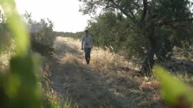 40 'lı yaşlarda bir Orta Doğulu elinde kopuz olan bir zeytin korusundan geçiyor. Güneş ışığı ağaçların arasından süzülürken doğayla olan dinginliği ve bağlantıyı yakalıyor.