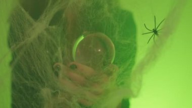 Elinde kristal küreyi döndüren siyah tırnak cilası olan bir cadının yakın çekim videosu. Örümcek ağları ile sisli çevre ürkütücü Cadılar Bayramı atmosferini güçlendirir.