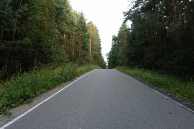 Yoğun yeşillik boyunca kıvrılan, her iki taraftaki uzun ağaçlarla çevrili, sakin, boş bir yol ormanda doğal bir atmosfer yaratıyor..
