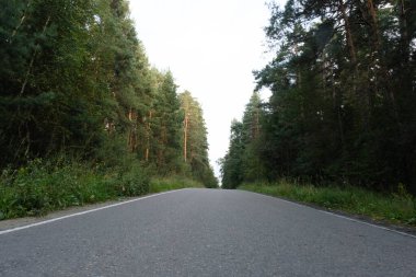 Yoğun yeşillik boyunca kıvrılan, her iki taraftaki uzun ağaçlarla çevrili, sakin, boş bir yol ormanda doğal bir atmosfer yaratıyor..