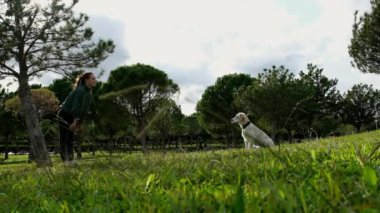Golden Retriever 'ın sahibini çimenli bir parkta yakalamaca oynarken çekilmiş büyüleyici bir yavaş çekim videosu. Köpeğin fırlatılan sopayı yakalamak için yaptığı keyifli atlayışı gözler önüne seriyor.