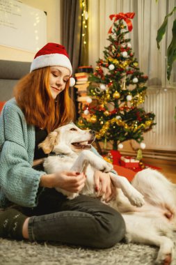 Noel Baba şapkası takan genç bir kadın arka planda güzel süslenmiş bir Noel ağacı ile yerde otururken Golden Retriever 'ına sevgiyle sarılıyor.