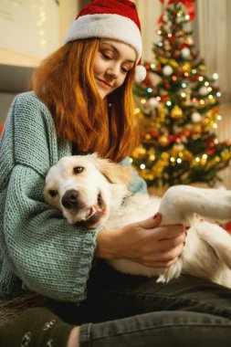 Noel Baba şapkası takan genç bir kadın arka planda güzel süslenmiş bir Noel ağacı ile yerde otururken Golden Retriever 'ına sevgiyle sarılıyor.