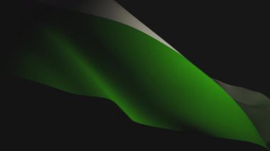 Yakın plan, spot ışıklarıyla aydınlatılan nötrois gurur bayrağının canlı renklerini ve pürüzsüz, akıcı hareketlerini gösteren 3D animasyonu.