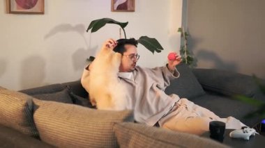 Sahibinin kucağında, sevilen ve oynanan, bağ ve neşelerinin özünü yakalayan Pomeranian köpeğinin yürek ısıtan bir videosu..