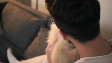 Sahibinin kucağında, sevilen ve oynanan, bağ ve neşelerinin özünü yakalayan Pomeranian köpeğinin yürek ısıtan bir videosu..