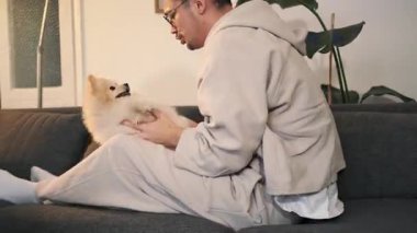 Sahibinin kucağında, sevilen ve oynanan, bağ ve neşelerinin özünü yakalayan Pomeranian köpeğinin yürek ısıtan bir videosu..