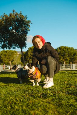 20 'li yaşlarda bir kadın, tasmalı iki Jack Russell Terrier köpeğiyle parkta geziyor ve evcil hayvanlarıyla güneşli bir günün tadını çıkarıyor.