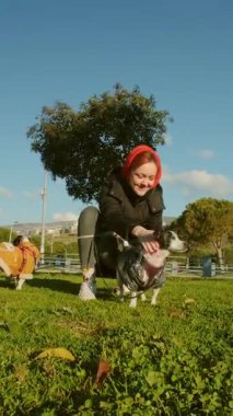 20 'li yaşlarda bir kadın, tasmalı iki Jack Russell Terrier köpeğiyle parkta geziyor ve evcil hayvanlarıyla güneşli bir günün tadını çıkarıyor.