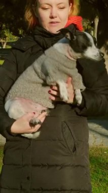 20 'li yaşlarda bir kadın parkta kucağında iki Jack Russell Teriyeri ile sonbahar güneşinin altında huzurlu bir anın tadını çıkarıyor.