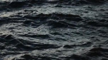 Gün ışığında dalgalanan yumuşak okyanus dalgalarını yakalayan, dokuları ve yansımaları gösteren sakin ve yavaş çekim bir video..