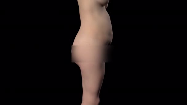 Трехмерная Анимация Показывает Женское Тело Похудевшее Повороте — стоковое видео