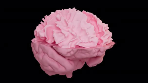 Esta Animación Muestra Escaneo Detallado Del Cerebro Humano — Vídeo de stock