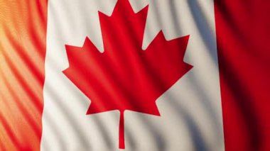 Bu Kanada bayrağının 3 boyutlu bir animasyonu.