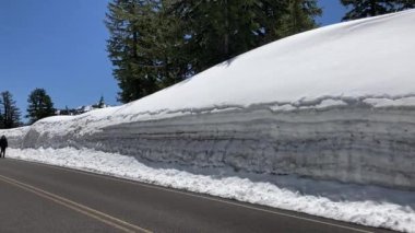 Bir kadın, güneşli bir günde çok yüksek bir kar yığınıyla çevrili, boş bir Rim Drive yolunda yürüyor - Crater Gölü Ulusal Parkı, Oregon, ABD
