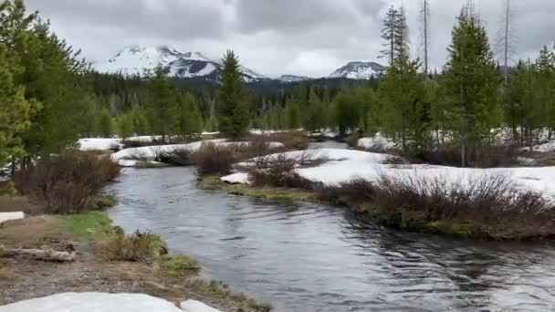 Folyó Folyó Kilátással Hófödte Bachelor Hegyre Örökzöld Fákkal Körülvéve Cascade — Stock videók