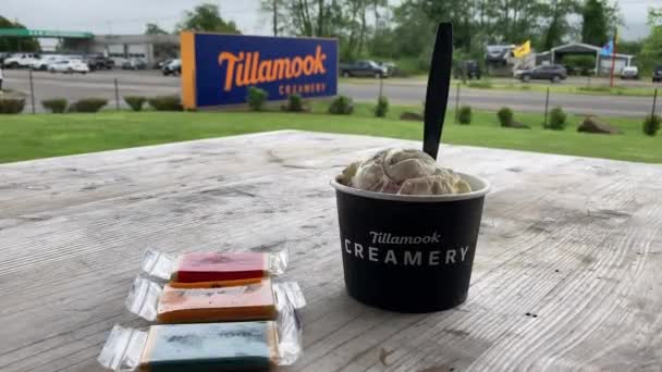 訪問者センターと工場の看板の前の工場の外のテーブルの上にティラムッククリームと様々なチーズサンプルのカップ 米国オレゴン州ティラムック — ストック動画
