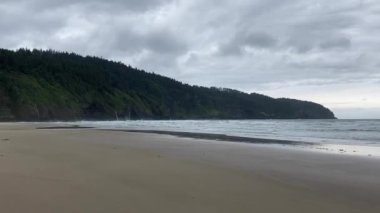 Beautiful, empty beach at Cape Lookout State Park on the wild Oregon coast. The waves crash gently on the shore with the forest in the background - Nr Tillamook, Oregon, USA