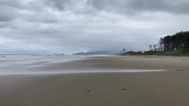 Beautiful and quiet beach with the forest right at the shore at Cape Lookout State Park in coastal Oregon - Nr Tillamook, Oregon, USA