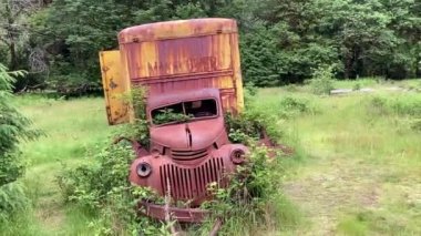 A rusted vintage truck sits abandoned on the Kestner Homestead in the Olympic National Park with nature gradually reclaiming it - Nr Quinault, Washington, USA