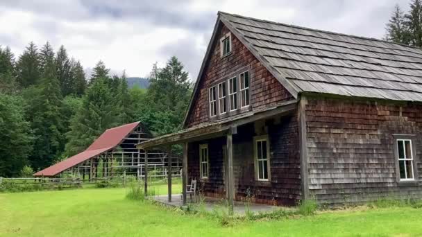 Historic Wooden House Barn Abandoned Kestner Homestead Olympic National Park — Stok video