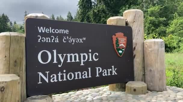 Wooden Entrance Sign Olympic National Park Hurricane Ridge Area Port — 비디오