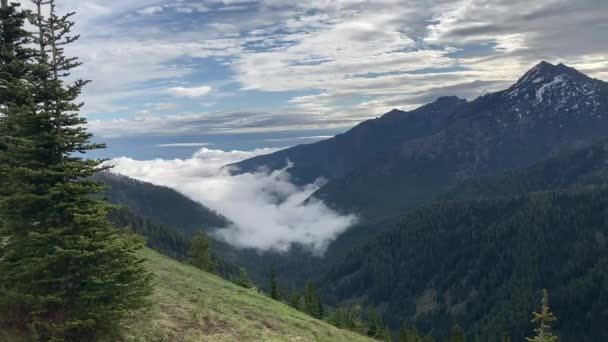 View Looking Back Coast Hurricane Ridge Road Mountain Peaks Cloud — Αρχείο Βίντεο