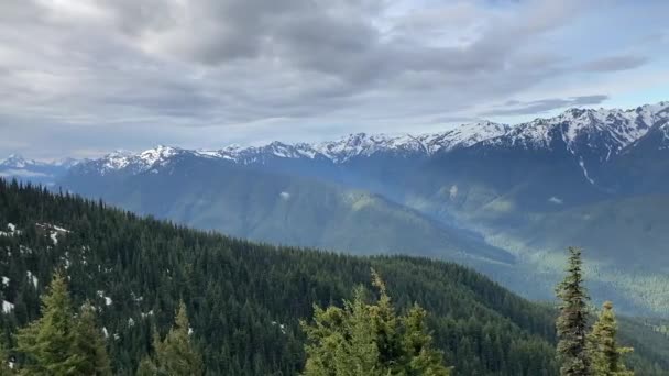 View Snowcapped Olympic Mountains Beautiful Forest Covered Valley Hiking Trail — Wideo stockowe