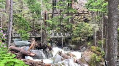 Kuzey Cascades Ulusal Parkı 'ndaki Merdiven Şelalesi Yolu' ndaki tahta köprü boyunca yürüyen bir kadın. Newhalem, Washington, ABD, Newhalem 'i çevreleyen yeşil ağaçlar derenin altına hücum etti.