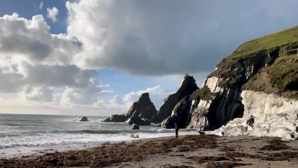 Muž Jeho Černý Labradorský Retrívr Kráčí Podél Wycombe Beach Útesy — Stock video