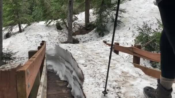 Uma Mulher Caminhante Caminha Sobre Uma Ponte Coberta Neve Com — Vídeo de Stock
