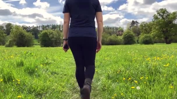女性は春の牧草地を歩き 晴れた日には長く明るい緑の草と黄色の花で満たされます Sellack Herfordshire — ストック動画