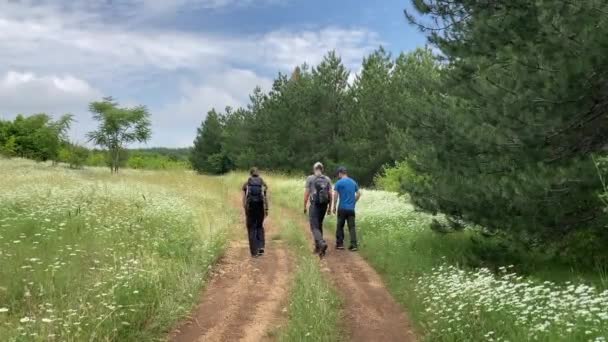 一群徒步旅行者走在一条长长的小径上 这条小径被白色野花和常绿树环绕着 — 图库视频影像